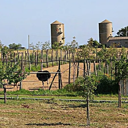 Séjour à la ferme Corte Degli Struzzi Pescia Romana