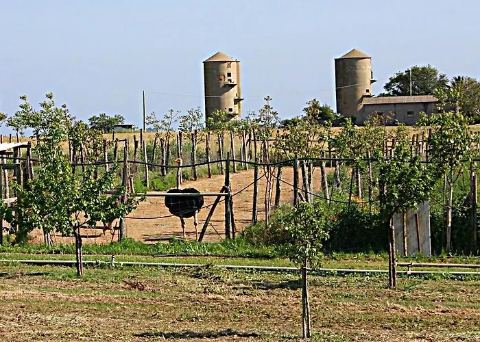 مزرعة للإقامة Corte Degli Struzzi بيشا رومانا